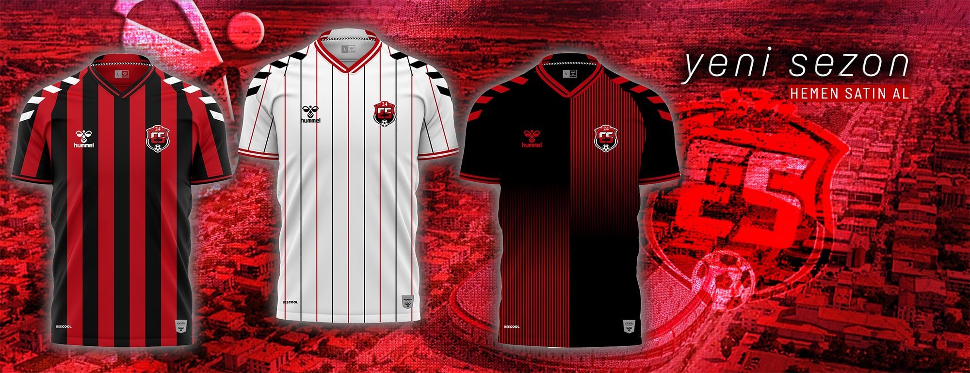 erzincanspor forma