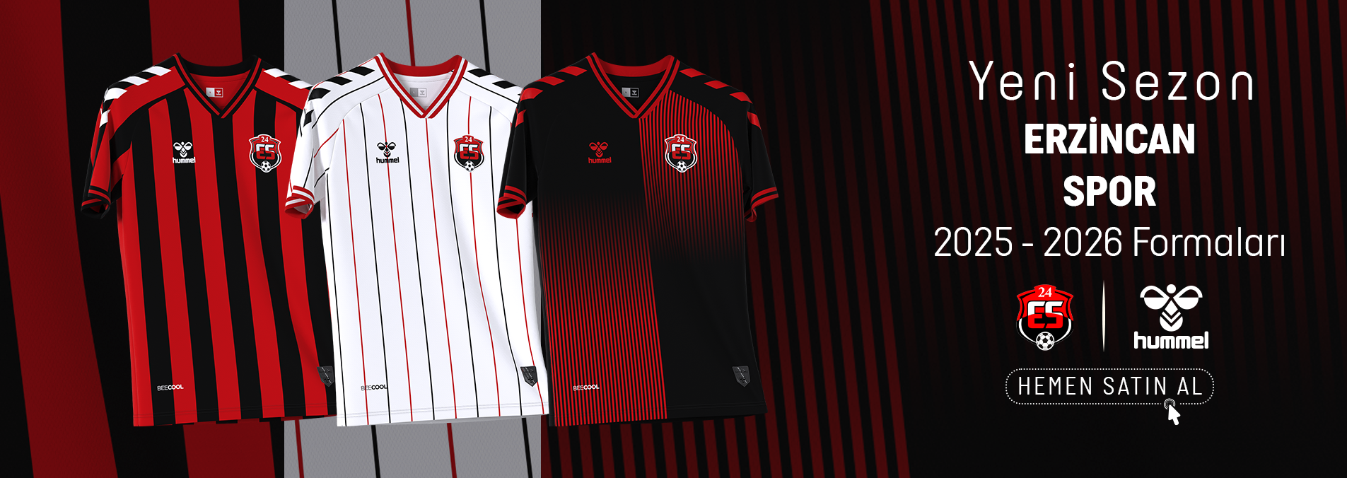 Erzincanspor Forma